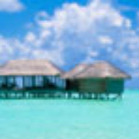 Restaurante Terraza Ibiza